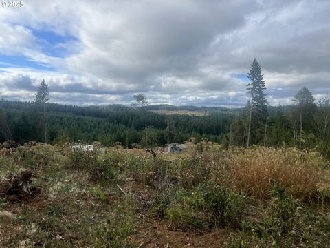 89975 SHEFFLER RD Elmira OR 97437