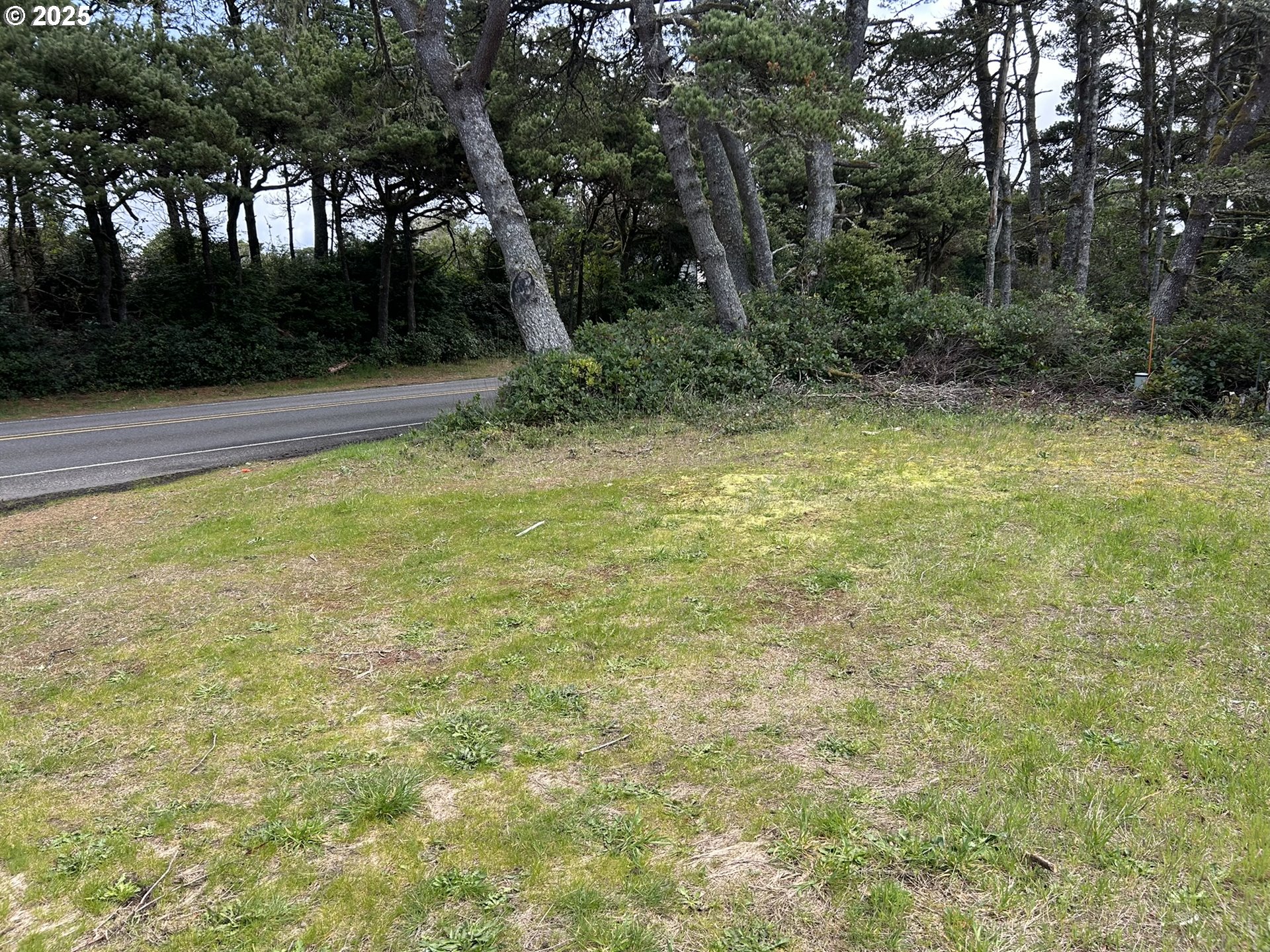 87636 RHODODENDRON DR