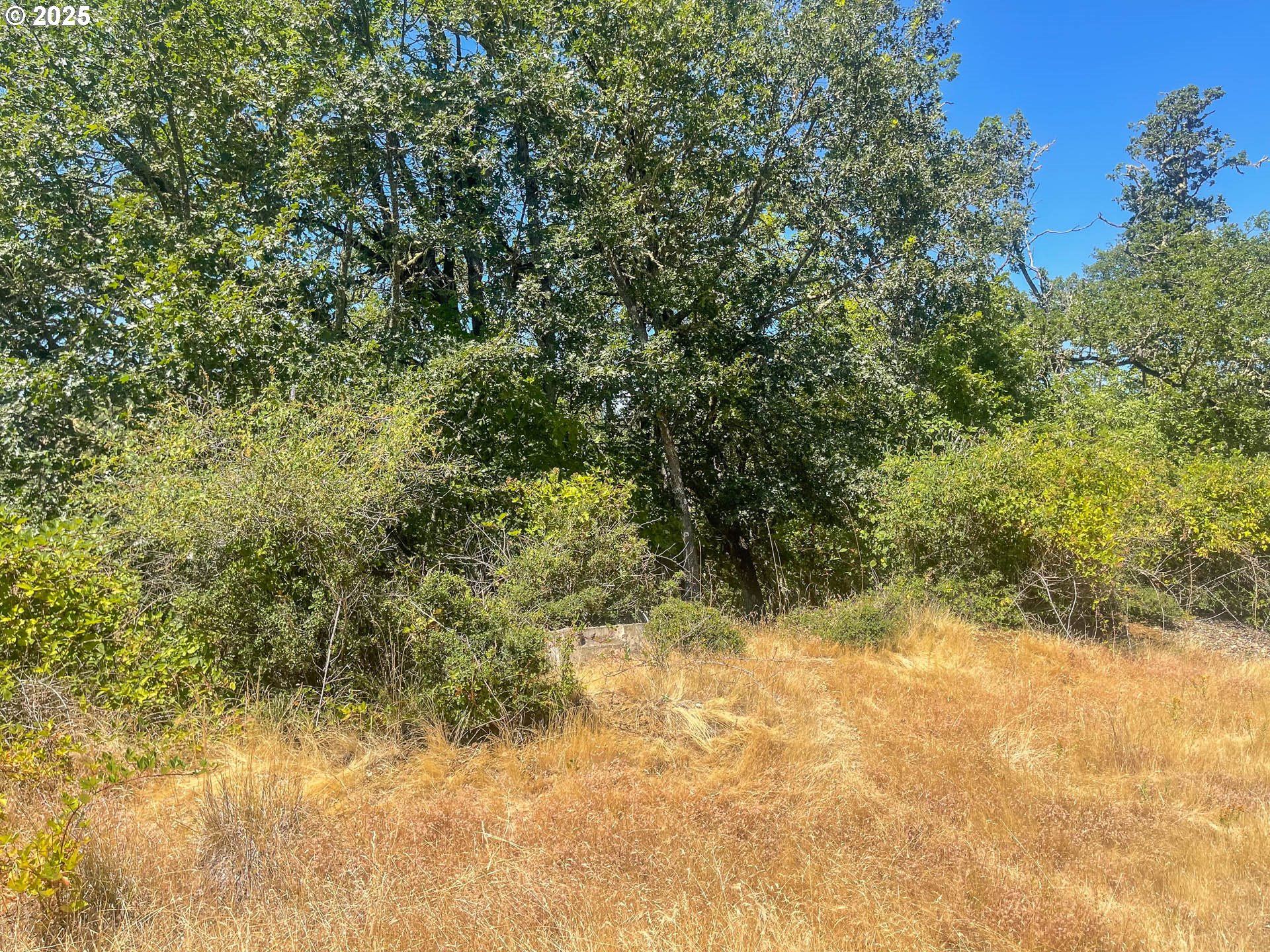 0 NE ALAMEDA AVE