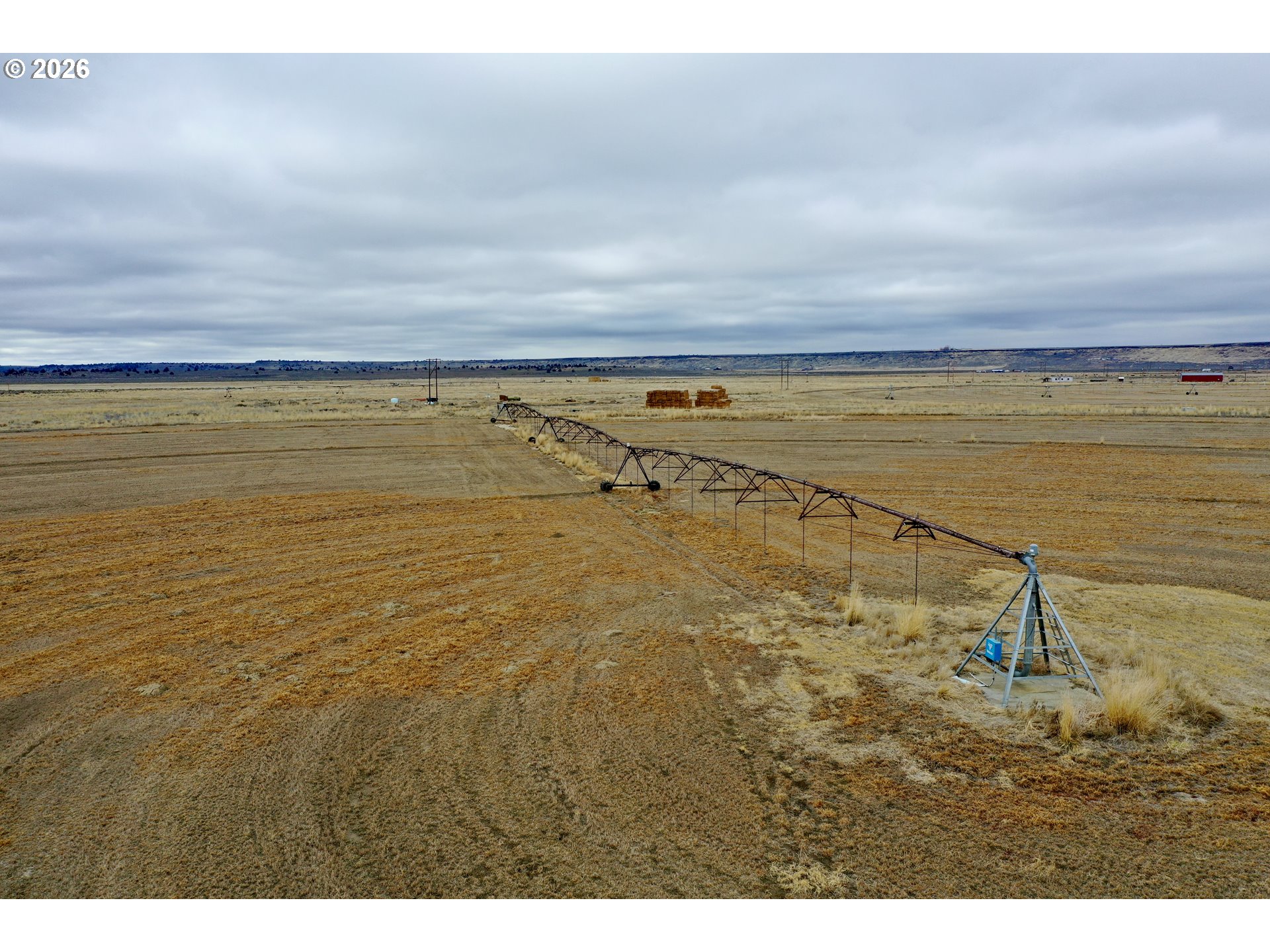 31597 DOG MOUNTAIN LN