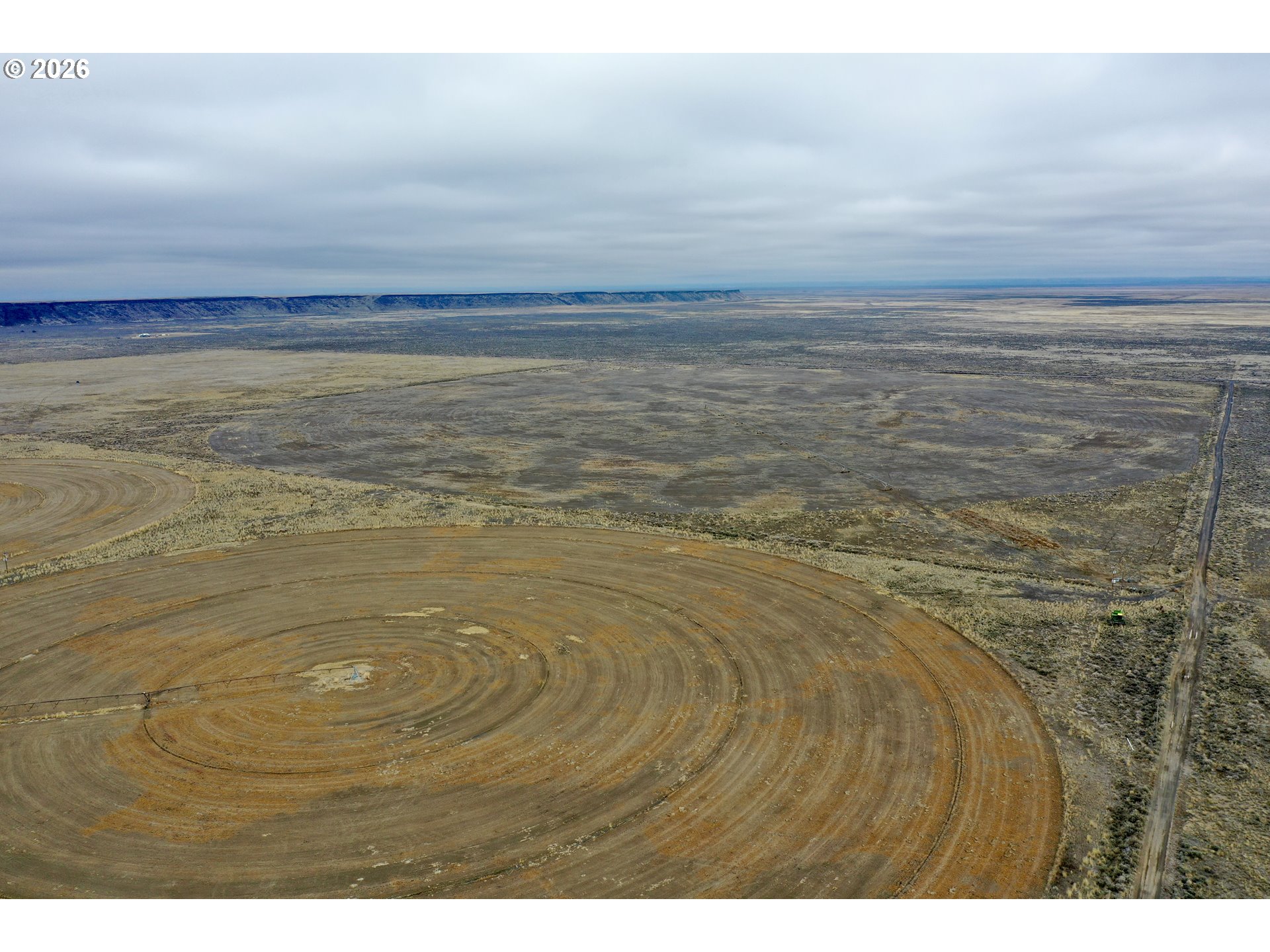 31597 DOG MOUNTAIN LN