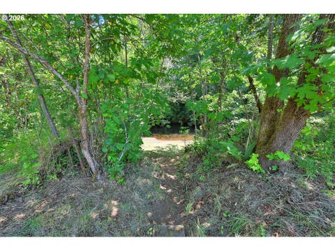 Tiny photo for 80845 Lost Creek Rd, Dexter, OR 97431 (MLS # 238157755)