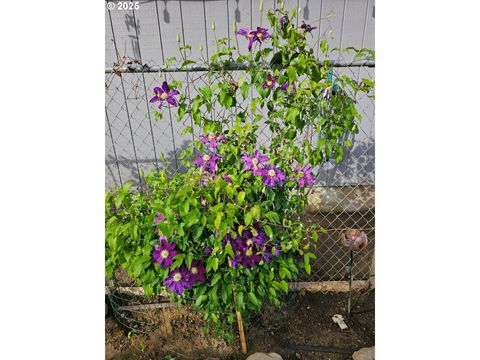 Tiny photo for 460 Meadow Ln, Creswell, OR 97426 (MLS # 654343305)