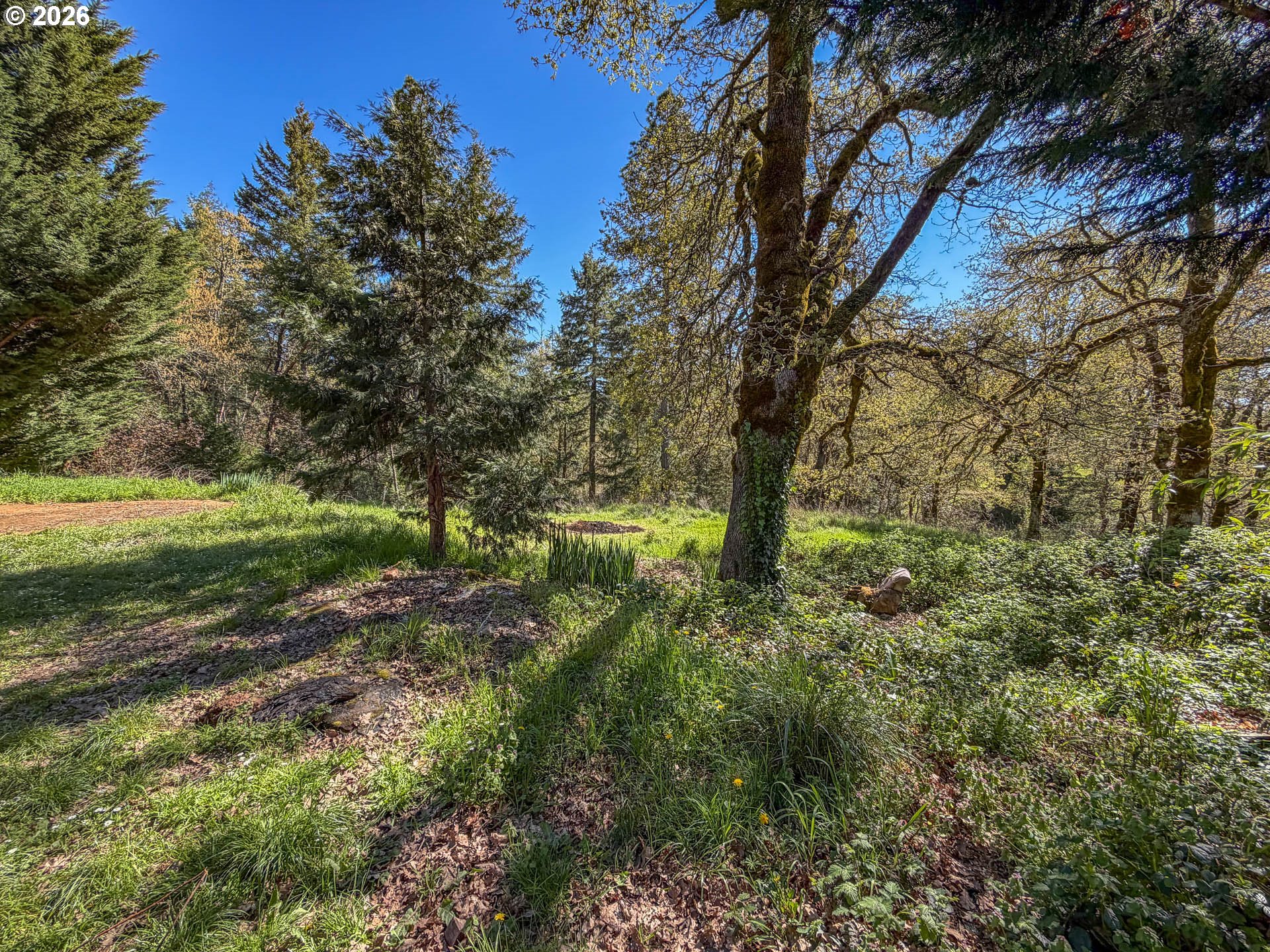 1698 DOERNER RD