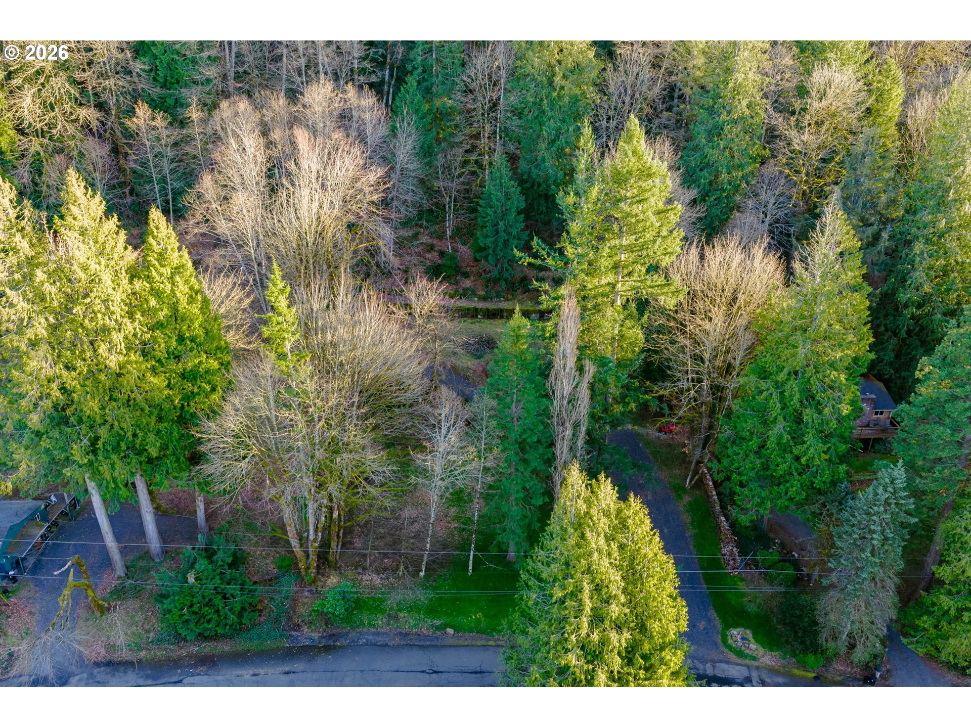 54040 E Alder Heights RD