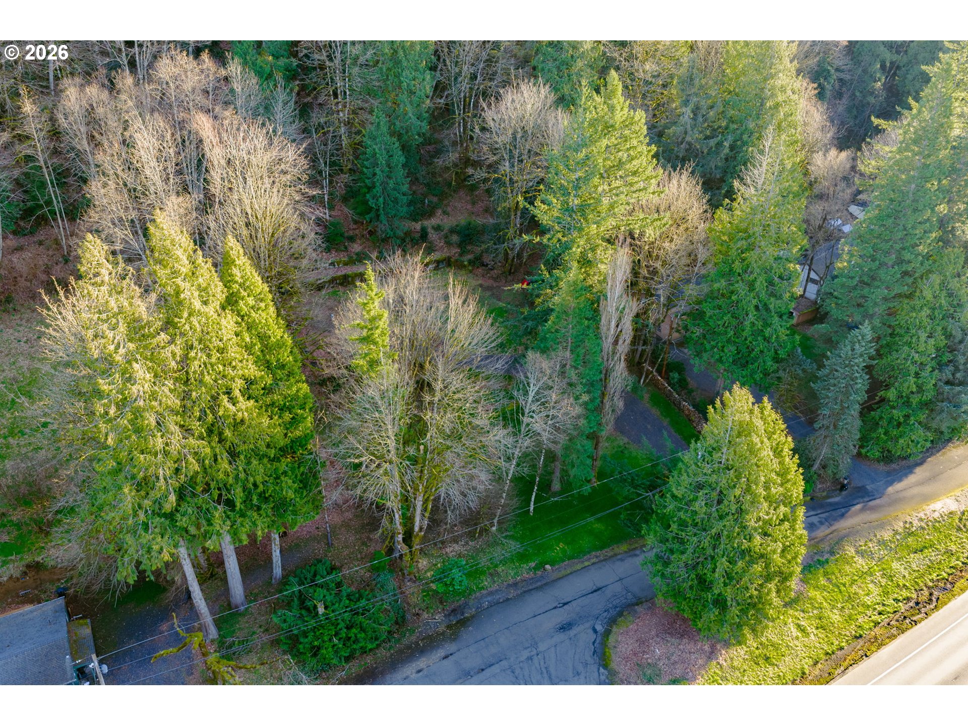 54040 E Alder Heights RD