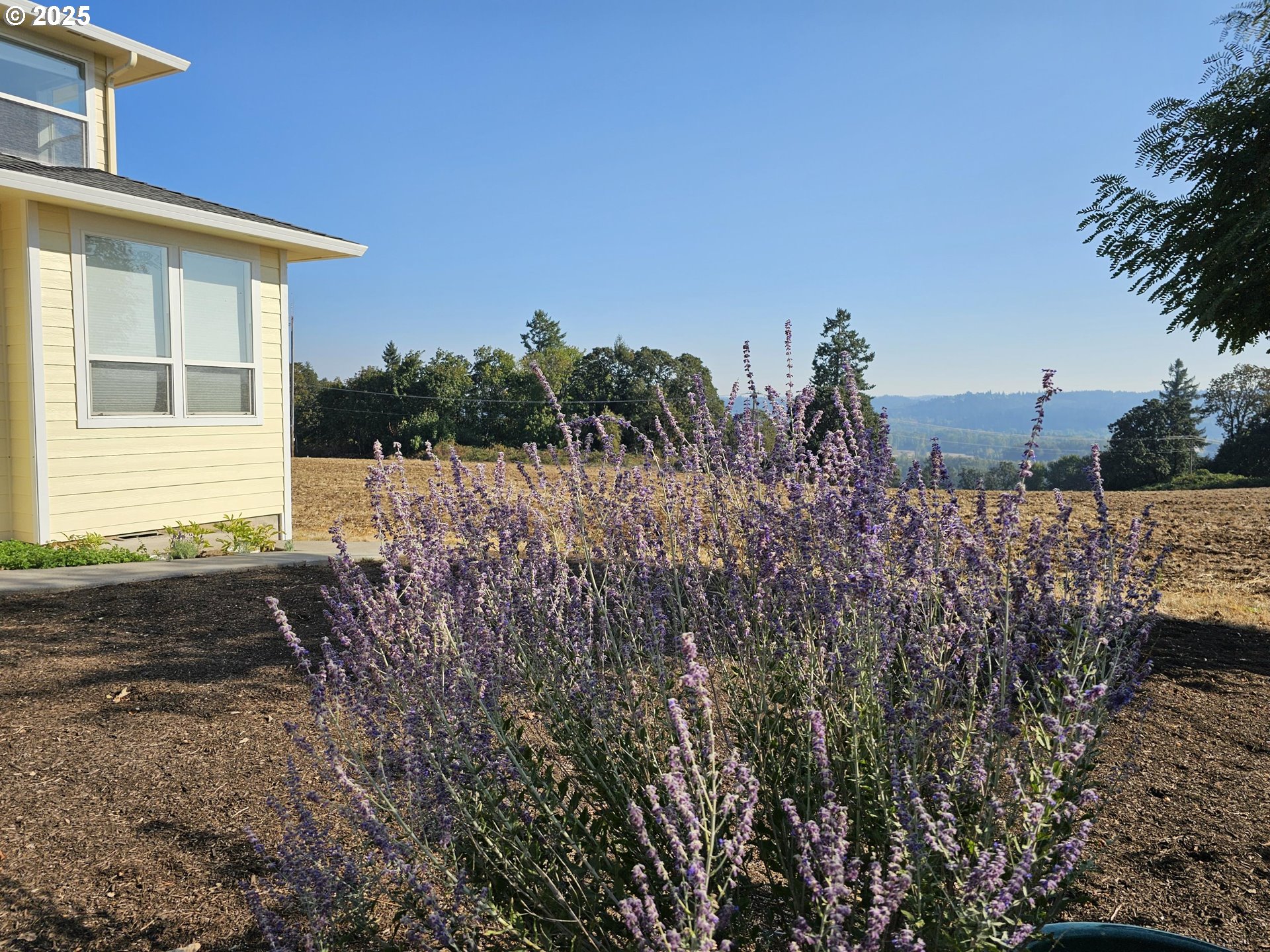 324 EAGLES WING ST NW