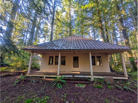 A home in Rhododendron