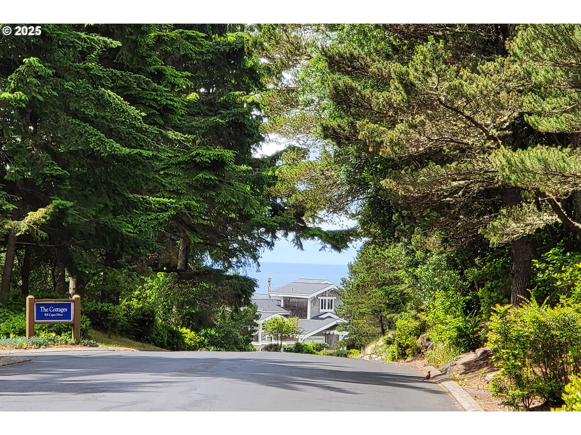 Oceanside, Oregon 97134, United States, 2 Bedrooms Bedrooms, ,1 BathroomBathrooms,Residential,Active,137778