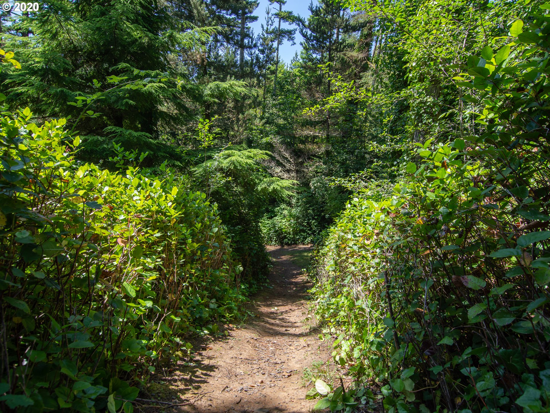 Oceanside, Oregon 97134, United States, ,Land,Active,36914