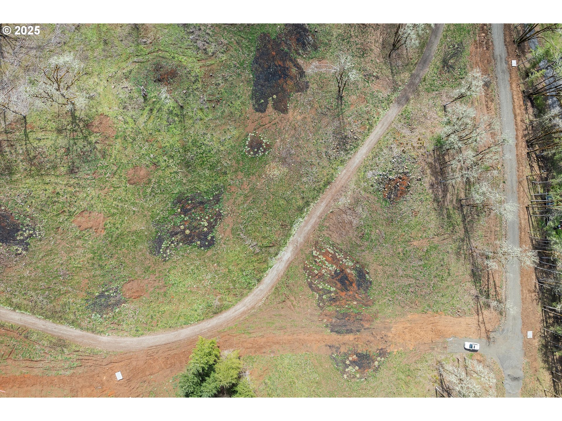 McMinnville, Oregon 97128, United States, ,Land,Active,96329