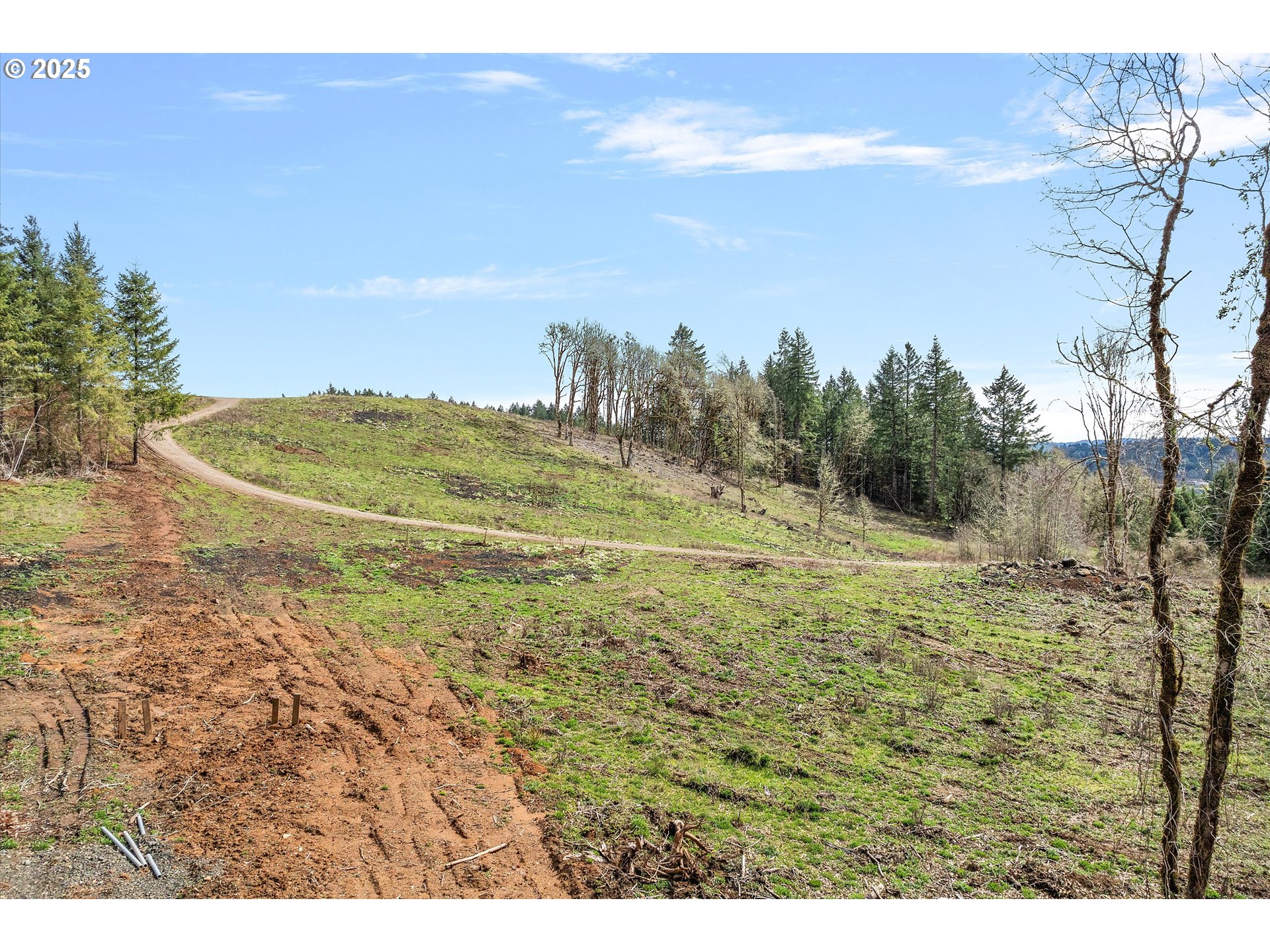 McMinnville, Oregon 97128, United States, ,Land,Active,96329