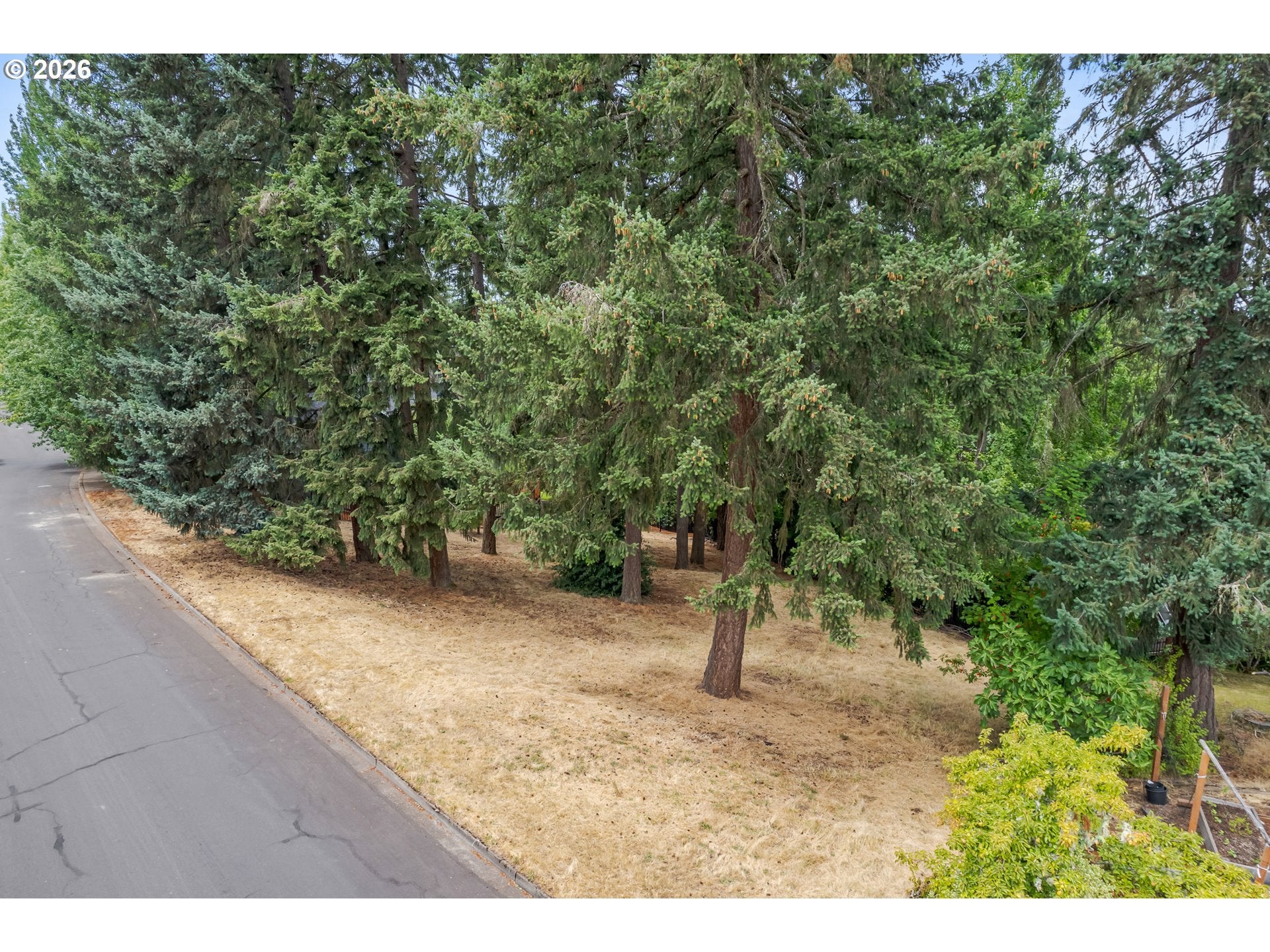 Suncrest AVE