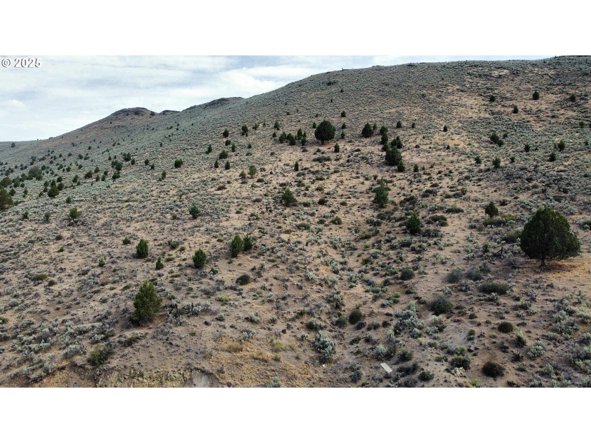 18775 GRIFFIN GULCH LN