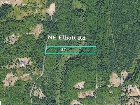 0 NE Elliott RD 57 Yacolt WA 98675