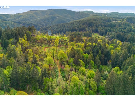 NW HILLTOP PL, BANKS, OR 97106 - Image c4b75e1819efd1a78f522e56cd5bcedf/3570493117