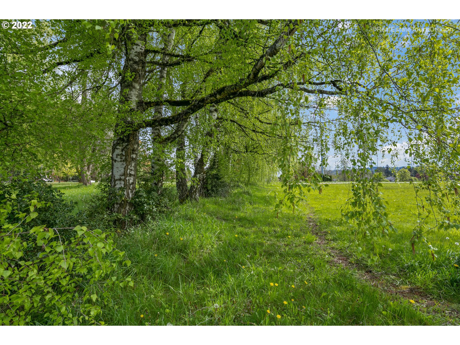 Gresham, Oregon 97080, United States, ,Land,Pending,123811