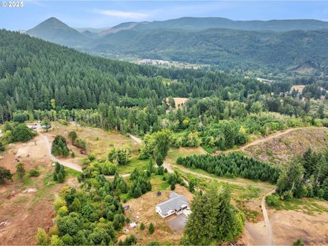 28024 NE 433RD ST Amboy WA 98601