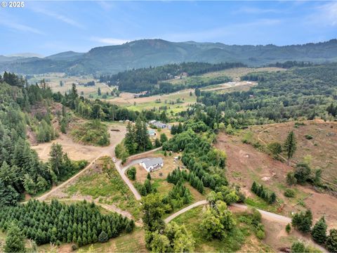 28024 NE 433RD ST Amboy WA 98601