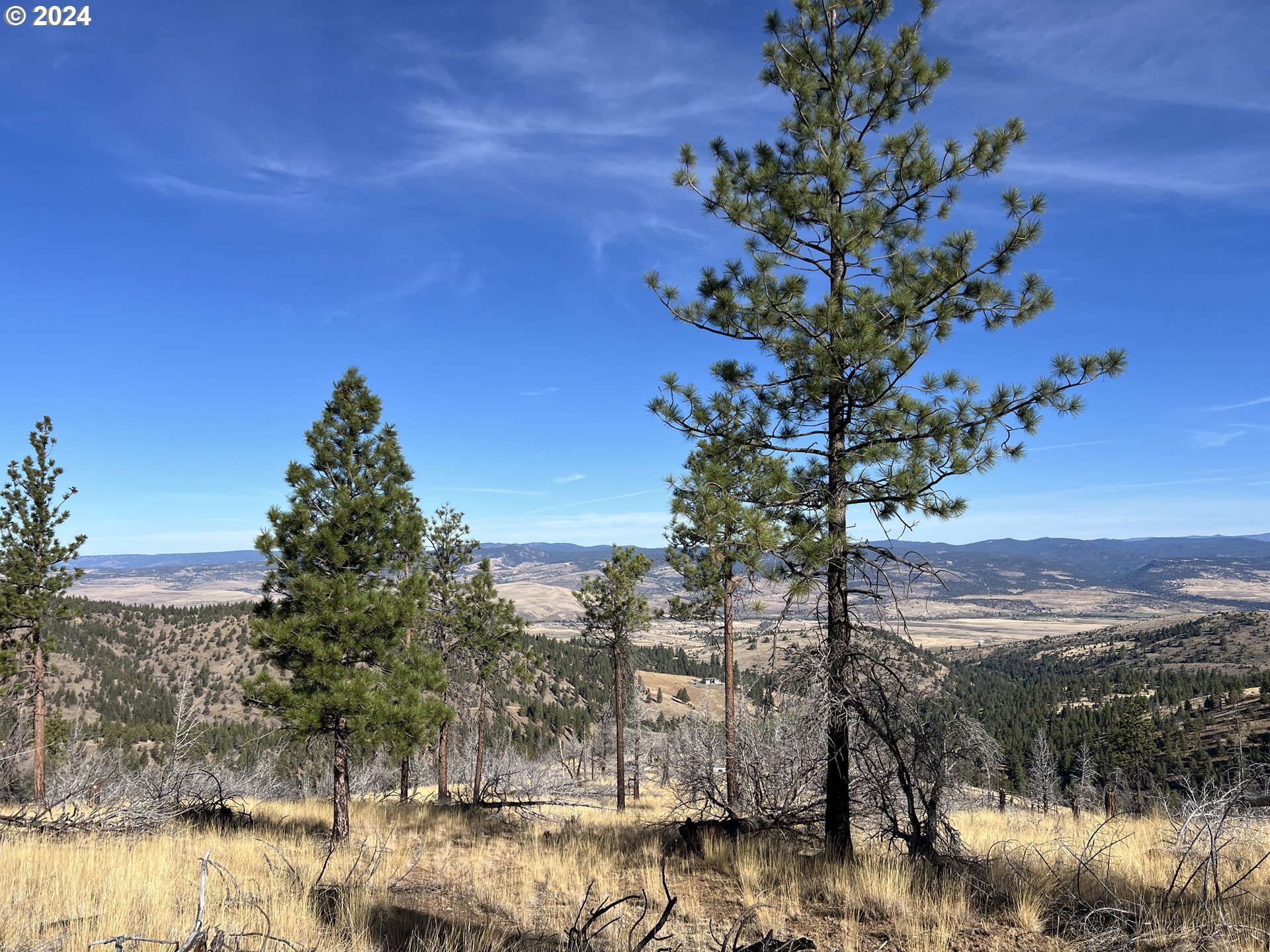 25422 Baldy Mountain RD