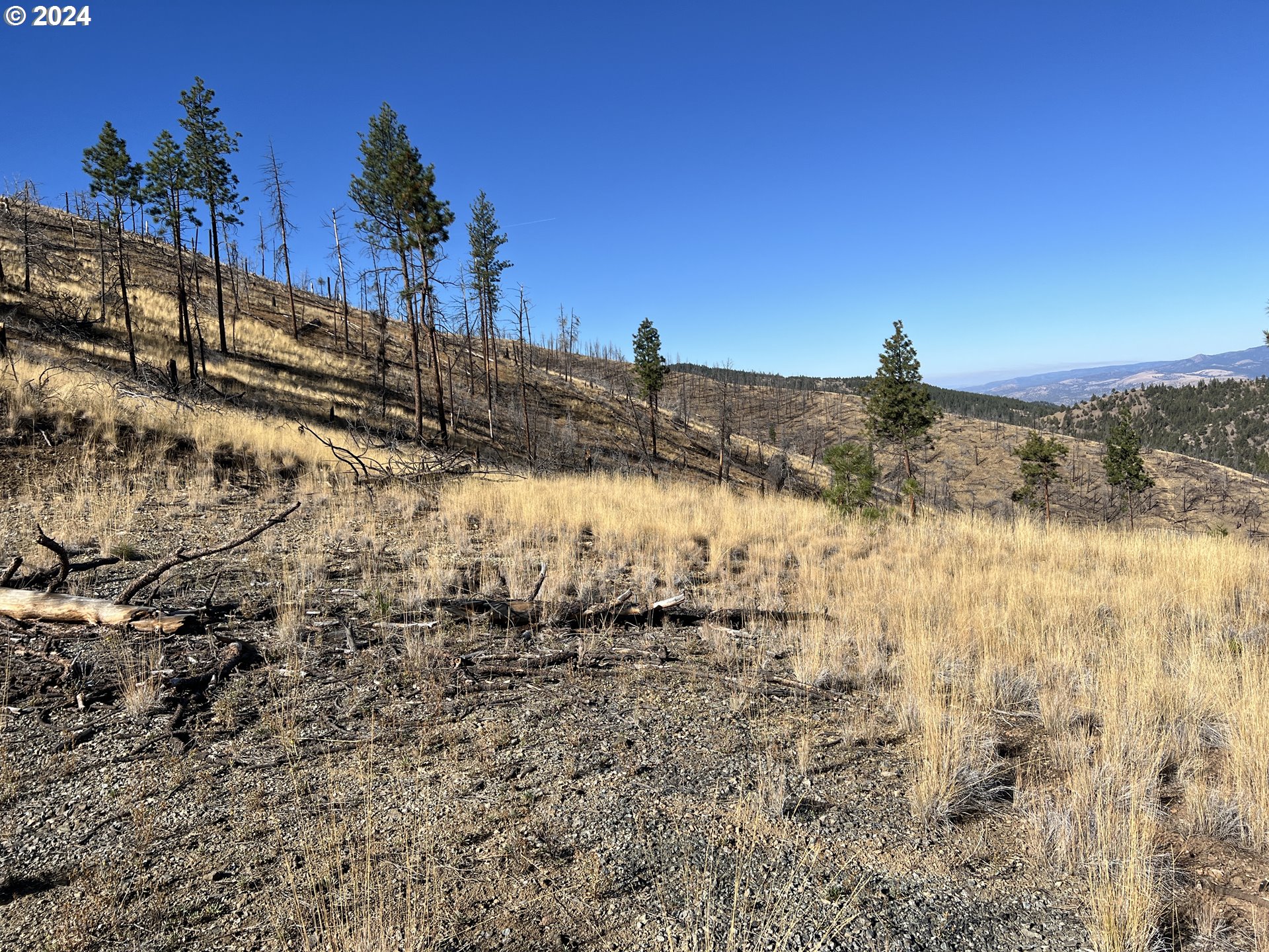 25422 Baldy Mountain RD