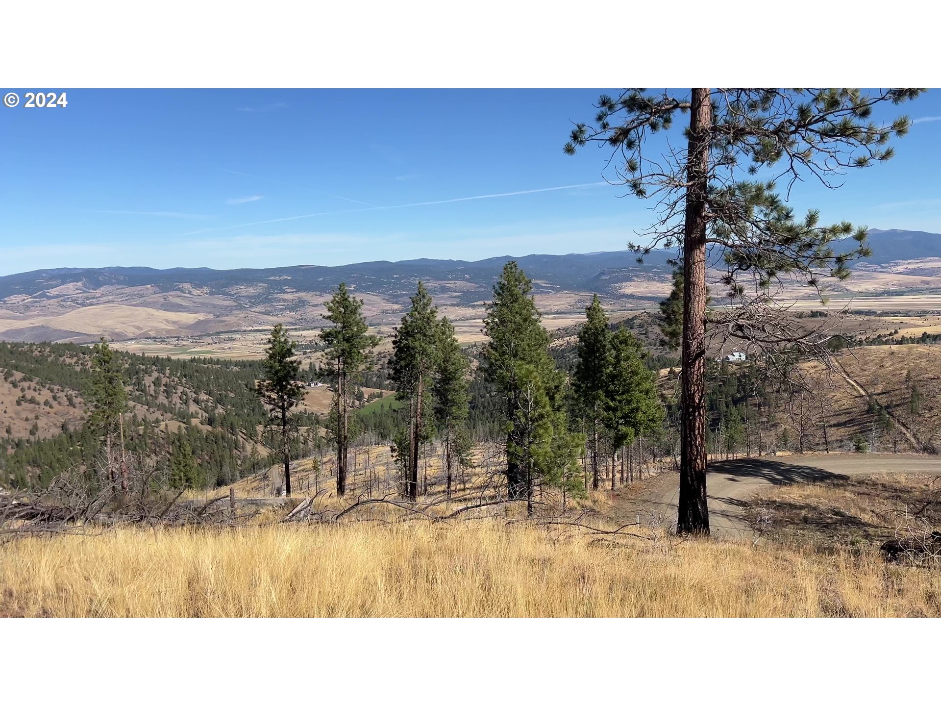 25422 Baldy Mountain RD