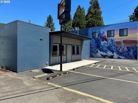 Photo of 48017 Highway 58, Oakridge, OR 97463 (MLS # 746750243)