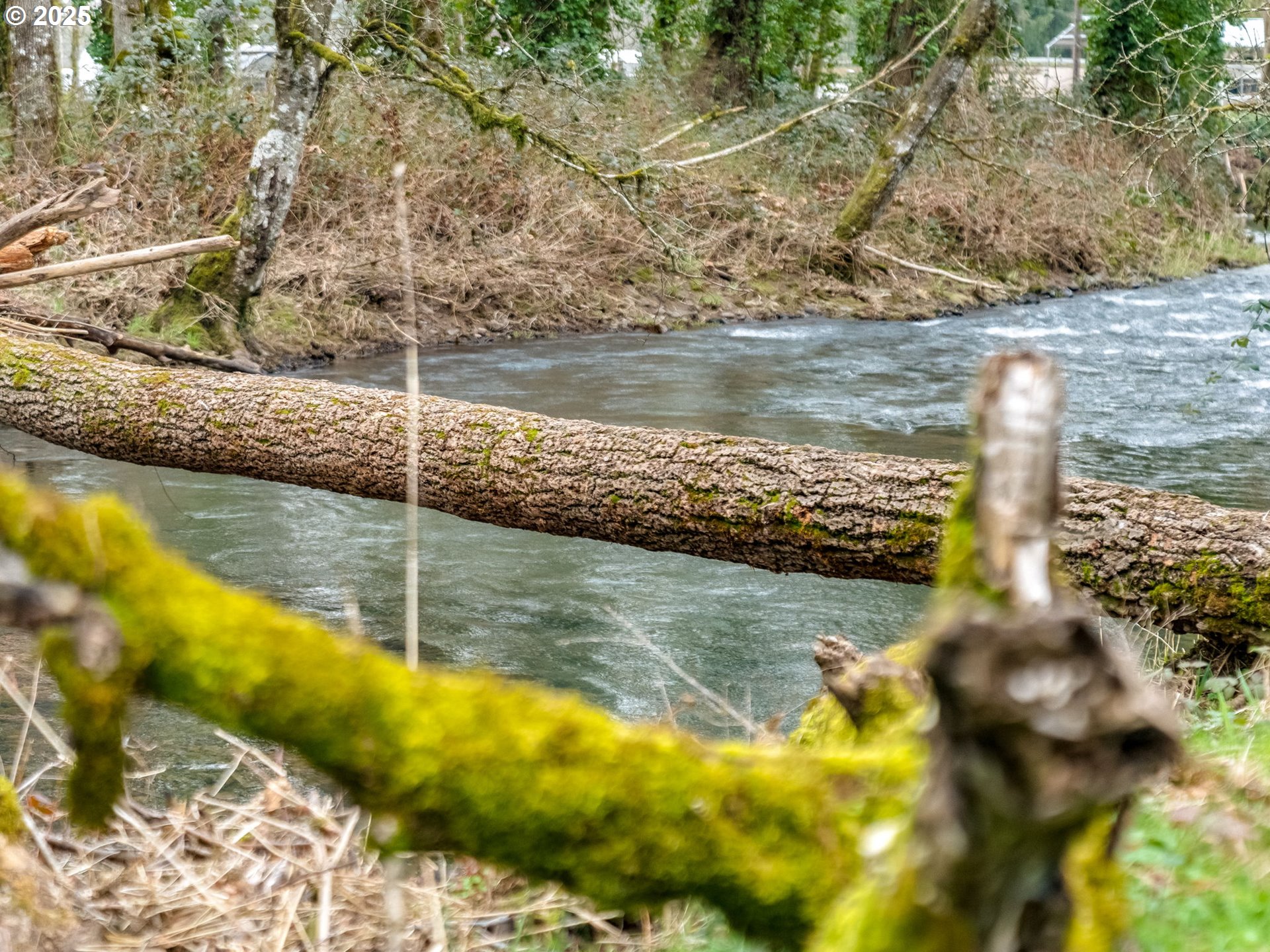 Scappoose, Oregon 97056, United States, 3 Bedrooms Bedrooms, ,2 BathroomsBathrooms,Residential,Pending,90129