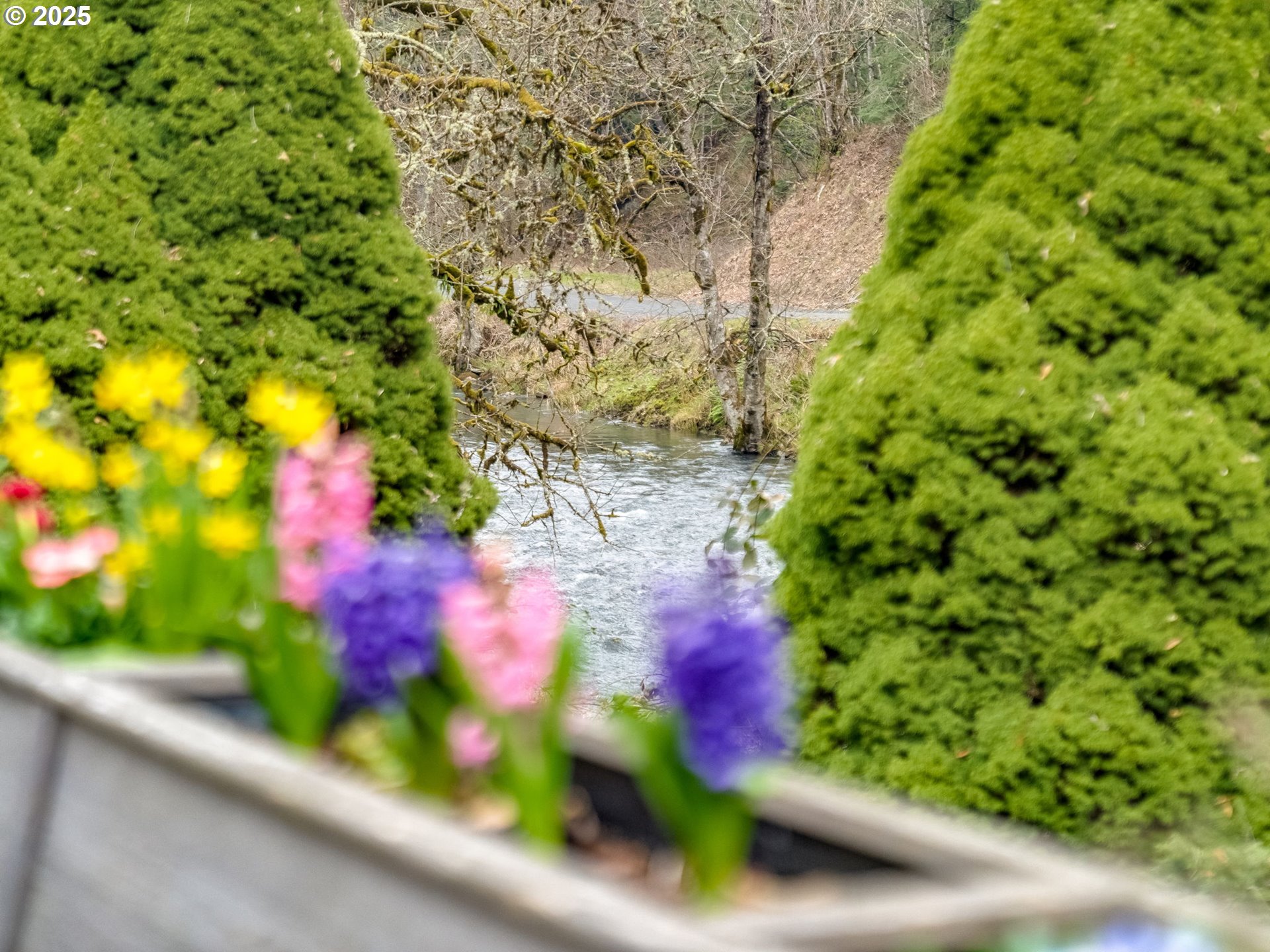 Scappoose, Oregon 97056, United States, 3 Bedrooms Bedrooms, ,2 BathroomsBathrooms,Residential,Pending,90129