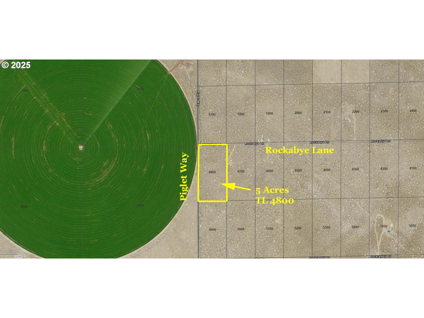 Listing image 6
