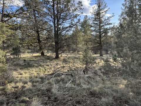 Canvasback DR 36 Bonanza OR 97623