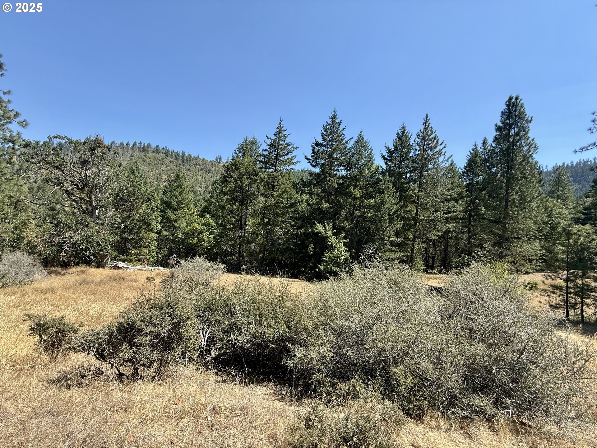 HWY 238
