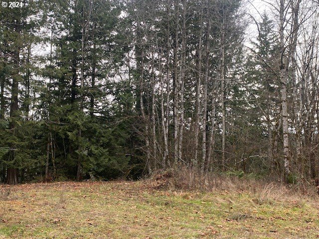 29900 BOLIN DR