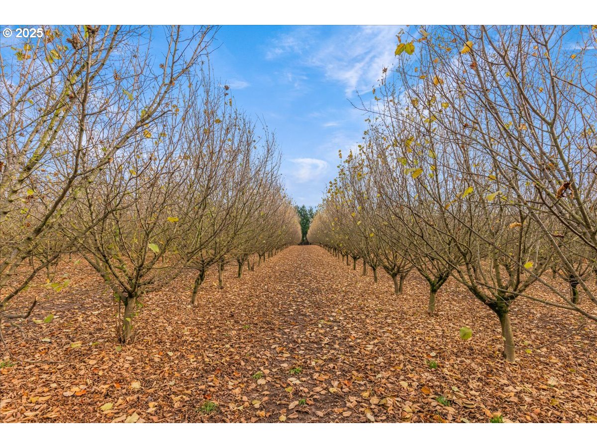 Hillsboro, Oregon 97123, United States, 2 Bedrooms Bedrooms, ,1 BathroomBathrooms,Residential,Active,247948