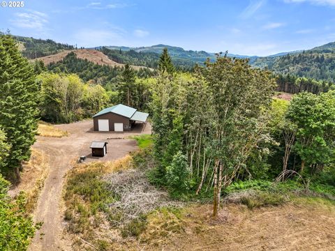 799 MOUNTAIN VIEW RD Kalama WA 98625