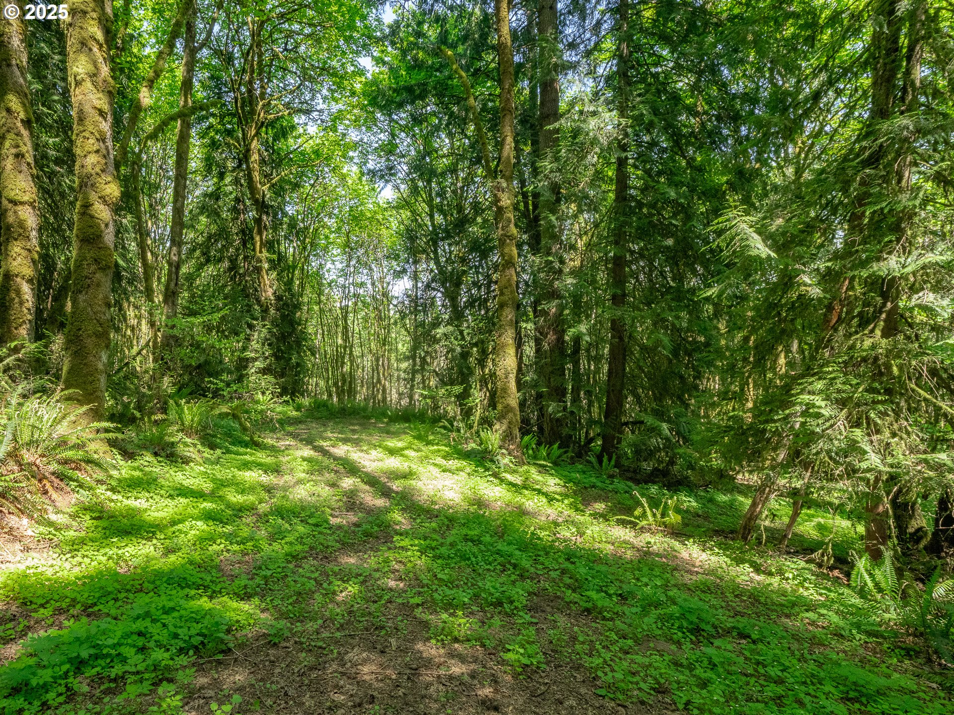 27701 SW STRAWBERRY HILL DR