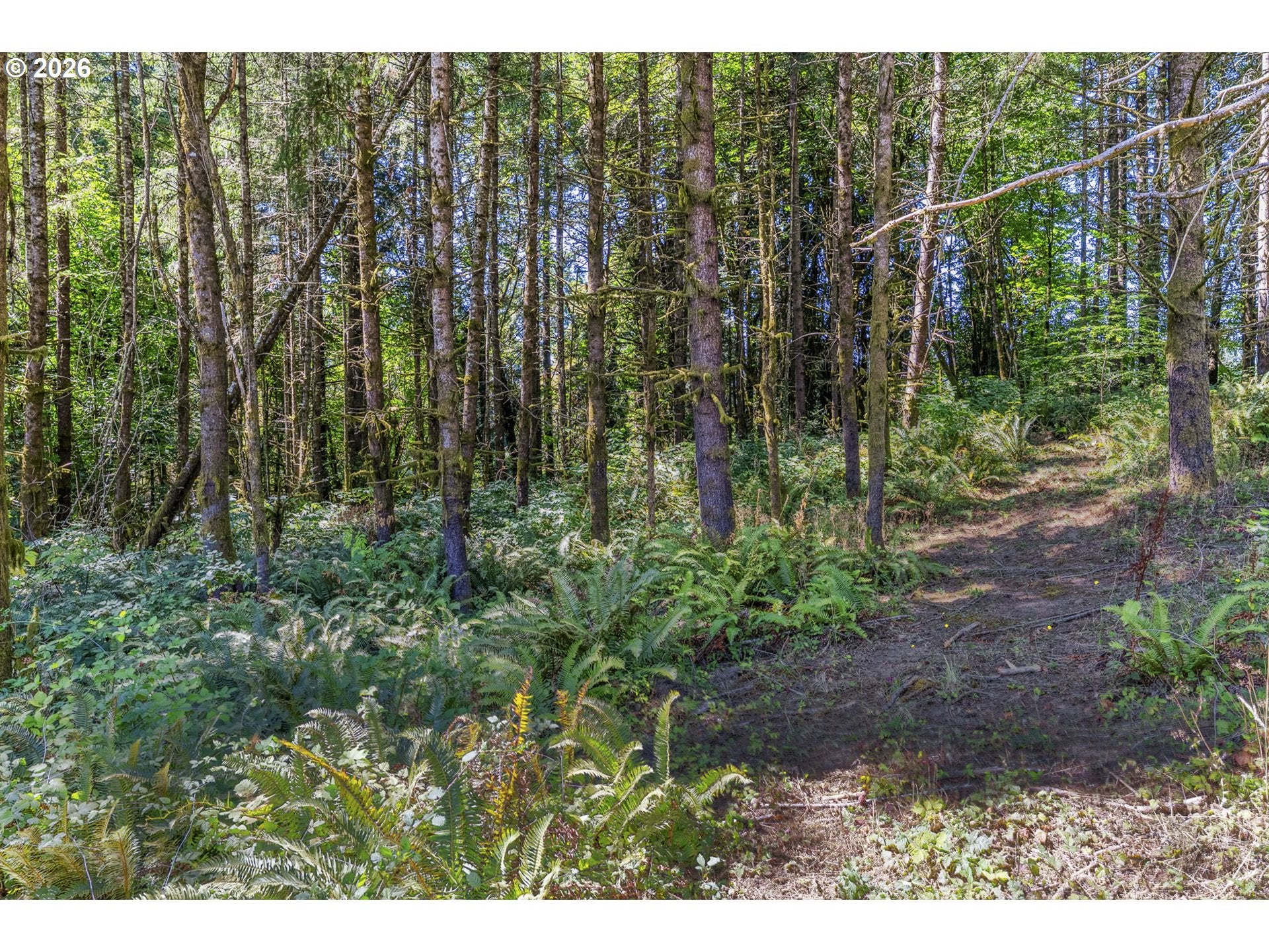 0 Old Tree Farm DR A