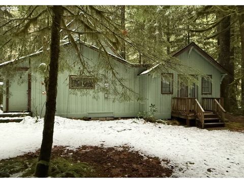 A home in Rhododendron