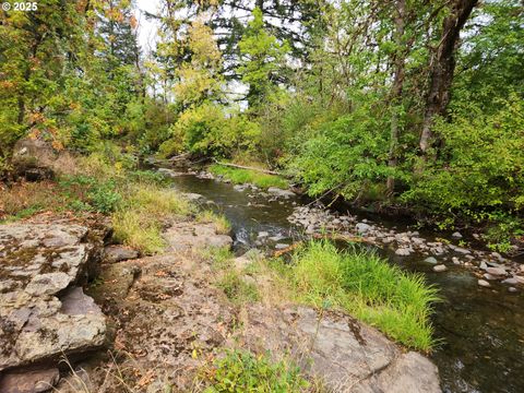 Tiny photo for 81029 Lost Creek Rd, Dexter, OR 97431 (MLS # 611692290)