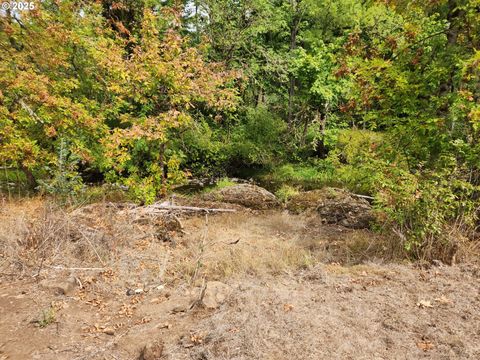 Tiny photo for 81029 Lost Creek Rd, Dexter, OR 97431 (MLS # 611692290)
