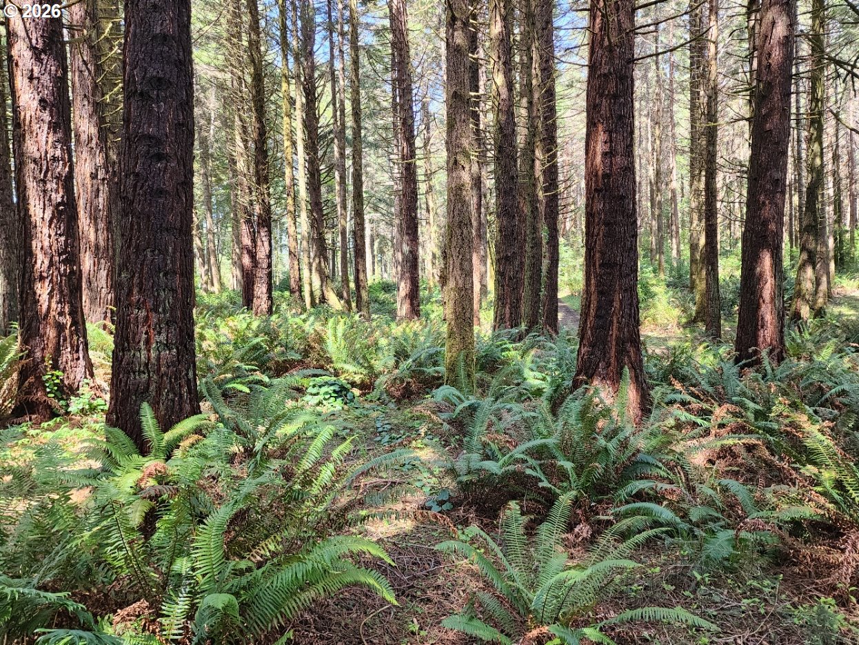 93204 CEMETERY LOOP RD