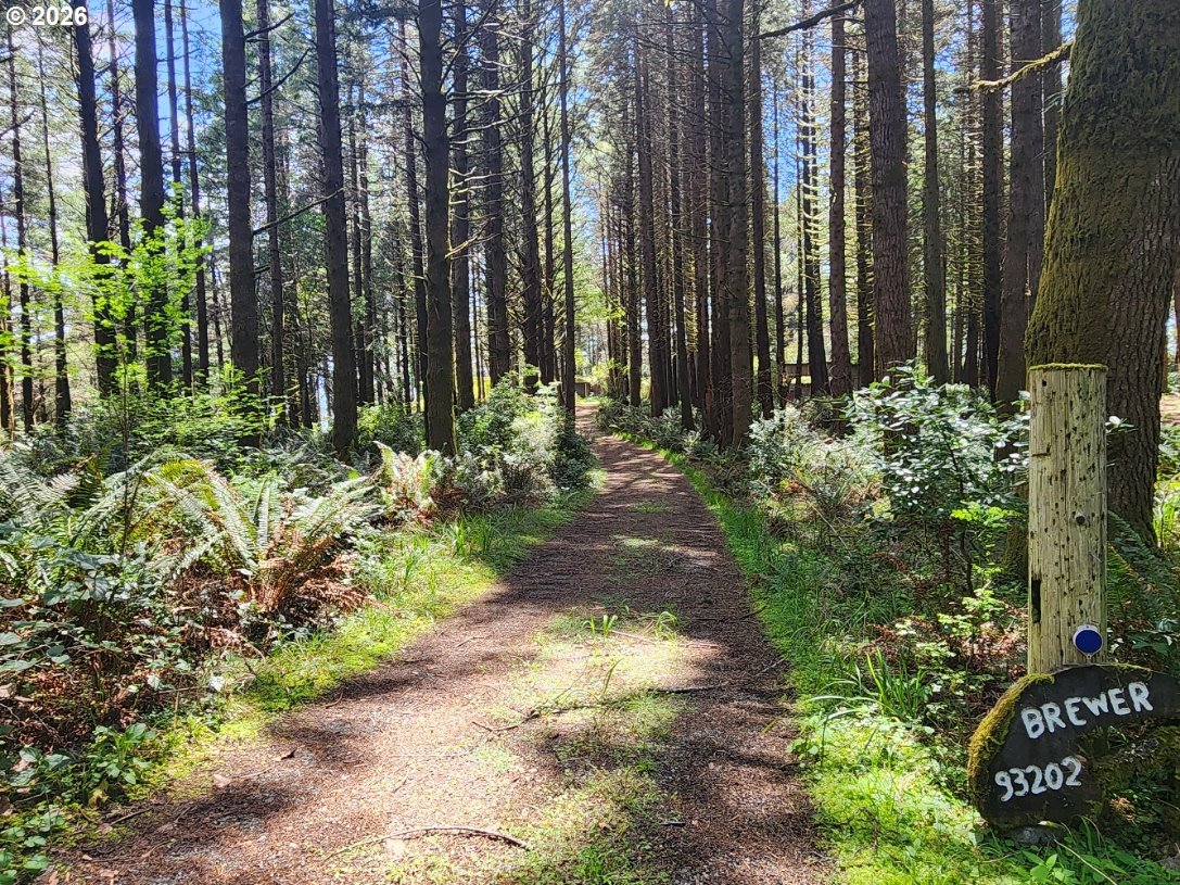 93204 CEMETERY LOOP RD