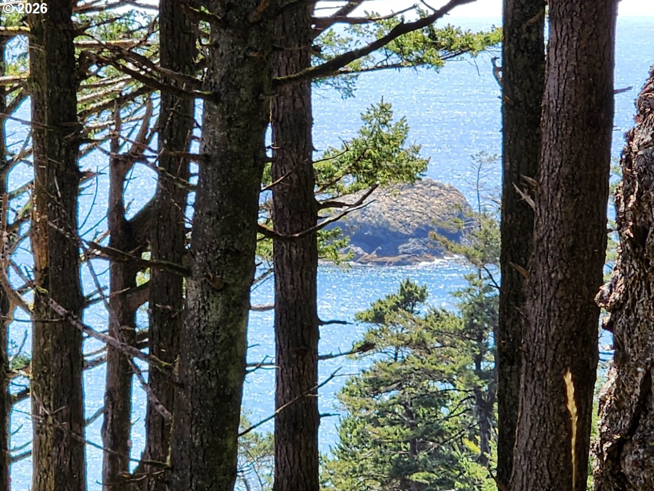 93204 CEMETERY LOOP RD