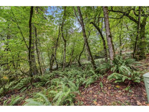 N Shasta Loop Eugene OR 97405