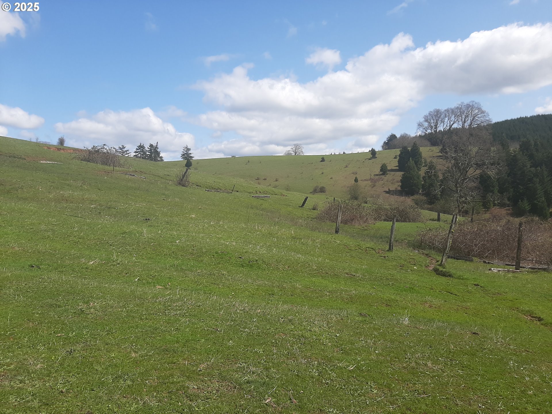 Oakland, Oregon 97462, United States, 3 Bedrooms Bedrooms, ,2 BathroomsBathrooms,Residential,Active,103394