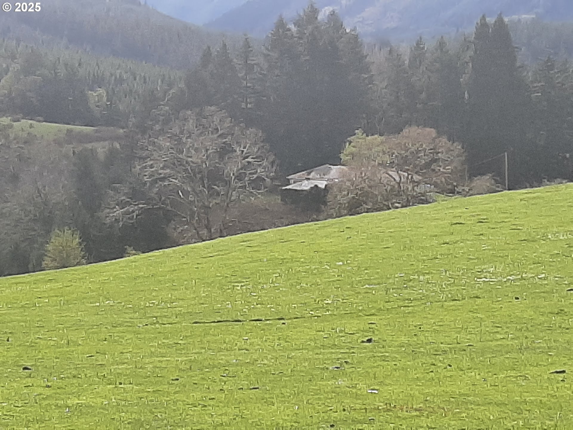 Oakland, Oregon 97462, United States, 3 Bedrooms Bedrooms, ,2 BathroomsBathrooms,Residential,Active,103394