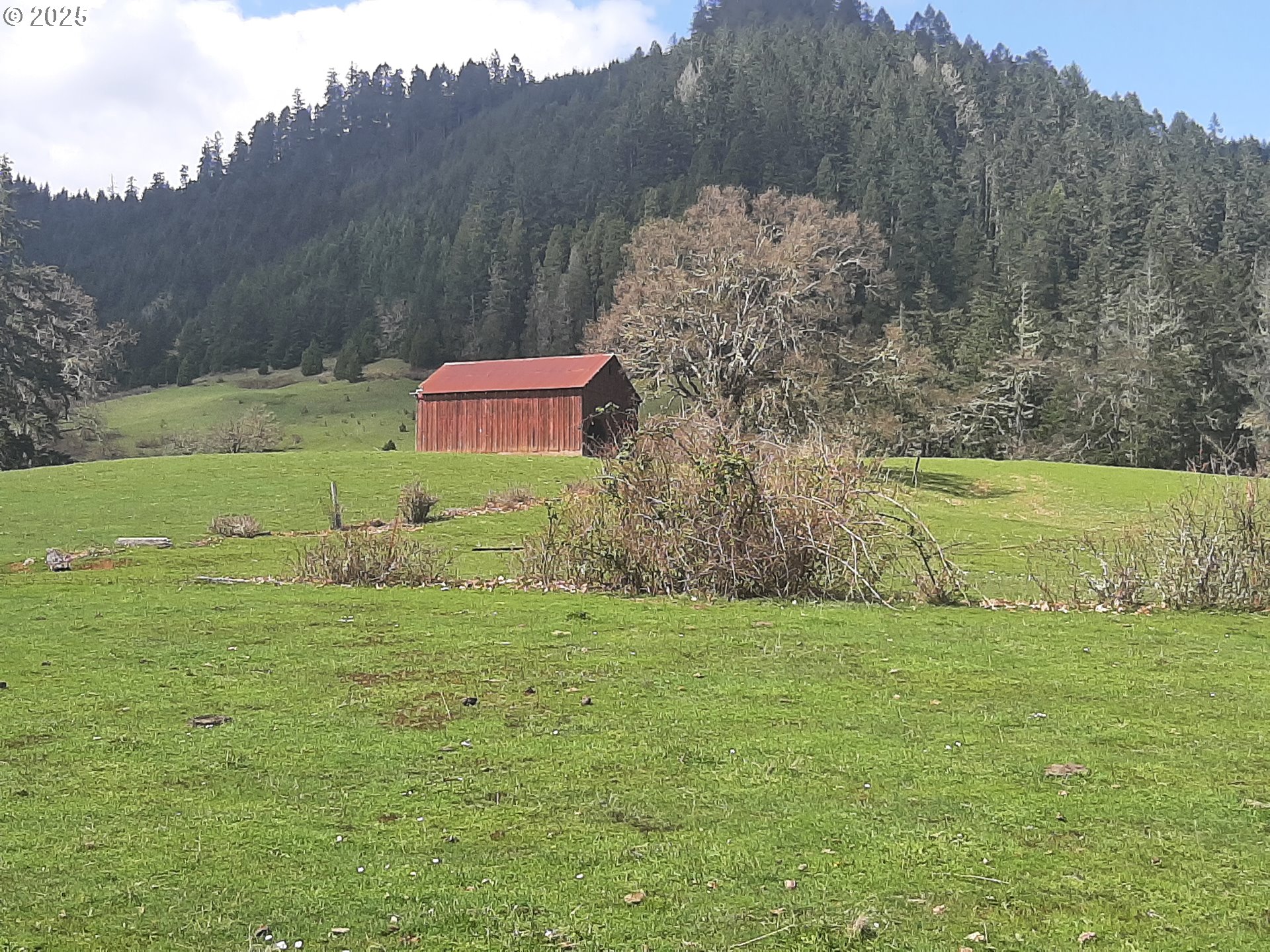 Oakland, Oregon 97462, United States, 3 Bedrooms Bedrooms, ,2 BathroomsBathrooms,Residential,Active,103394