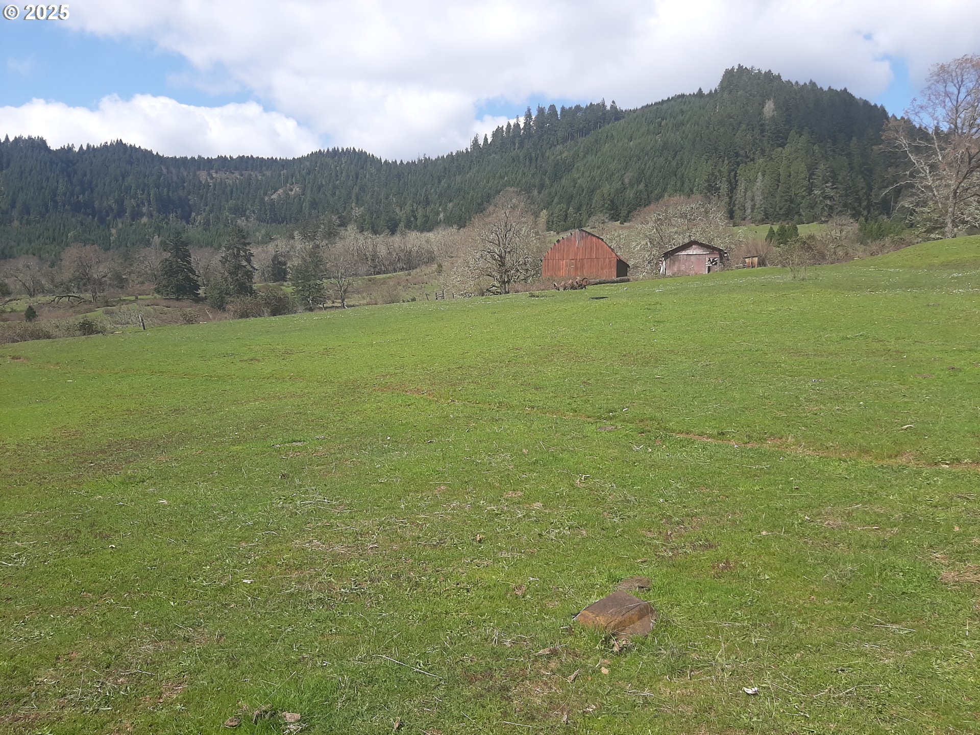 Oakland, Oregon 97462, United States, 3 Bedrooms Bedrooms, ,2 BathroomsBathrooms,Residential,Active,103394