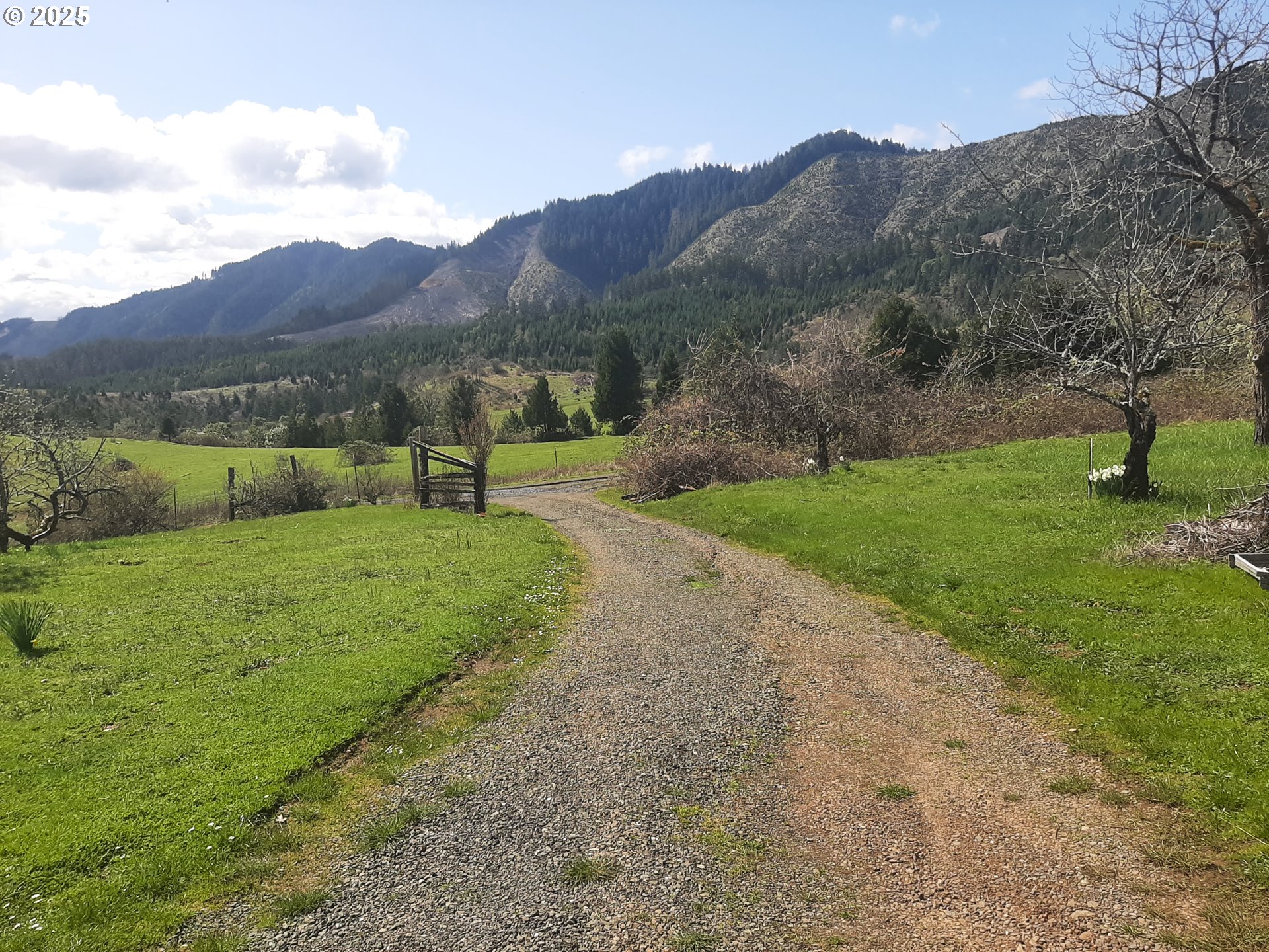 Oakland, Oregon 97462, United States, 3 Bedrooms Bedrooms, ,2 BathroomsBathrooms,Residential,Active,103394