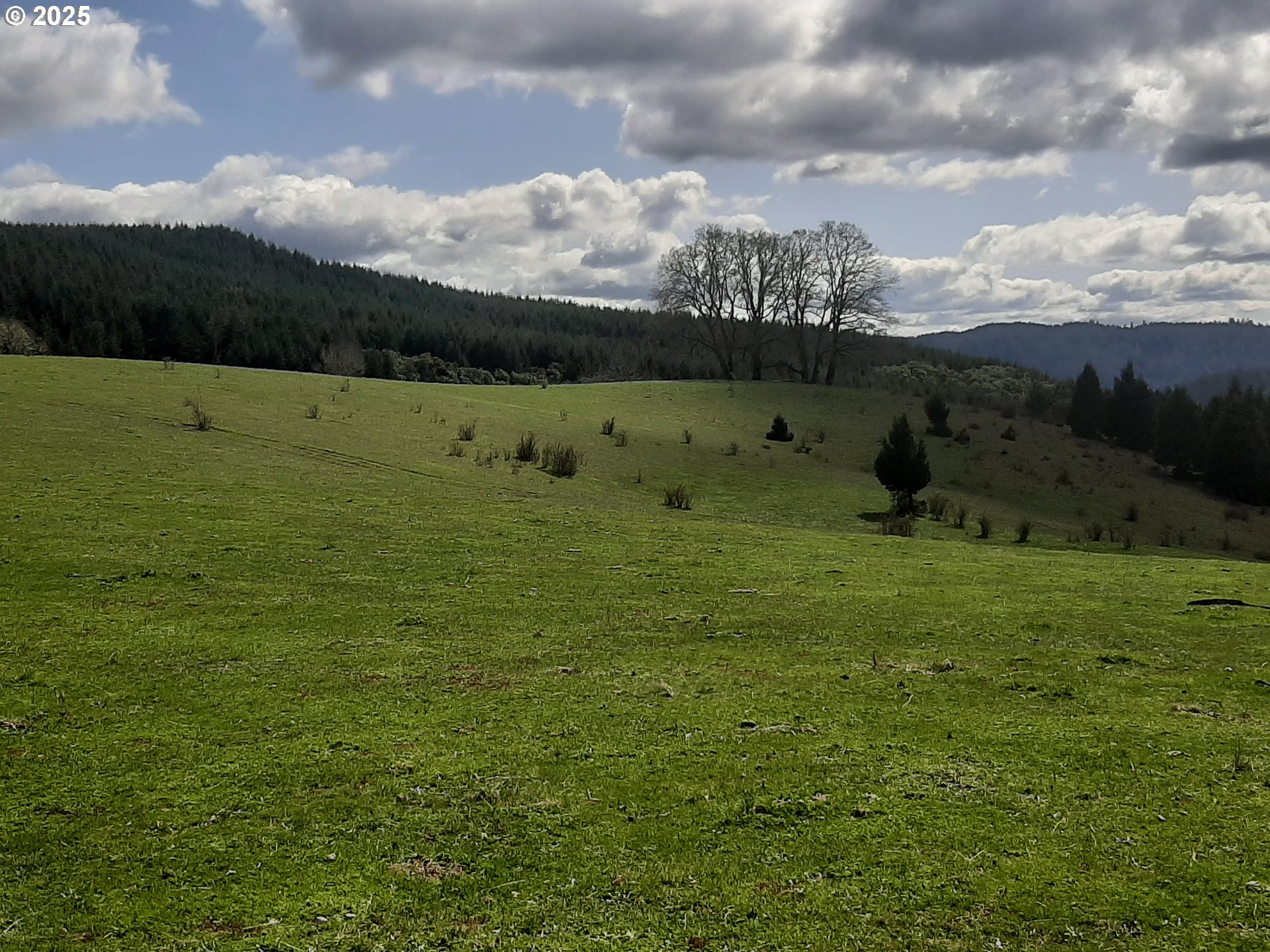 Oakland, Oregon 97462, United States, 3 Bedrooms Bedrooms, ,2 BathroomsBathrooms,Residential,Active,103394